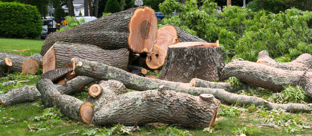 Best Firewood Processing and Delivery  in Lawrence, KS